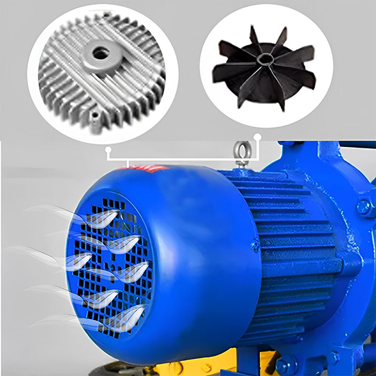 Pa Lăng Cáp Điện CD1 2 Tấn 6m Lam Hồng